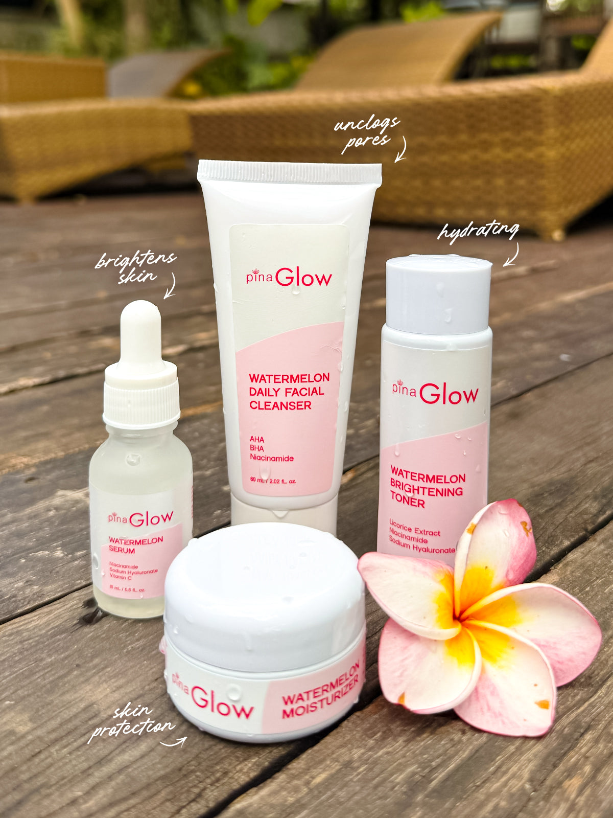 Pina Glass Skin Facial Kit