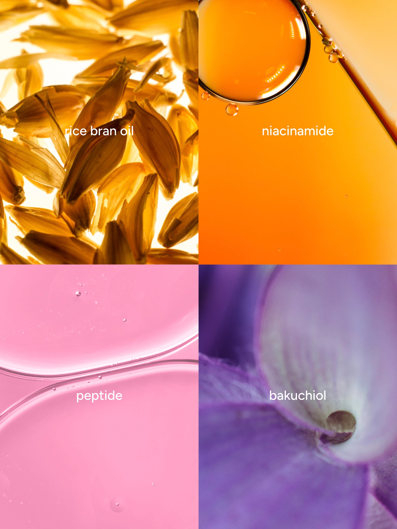 Pina Beauty Timeless Soap